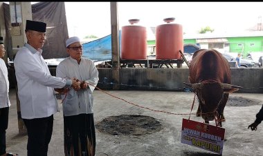 Dua Ekor Sapi Di Serahkan Kapolda Kalsel Kepada Imam Musala Ar Raudah