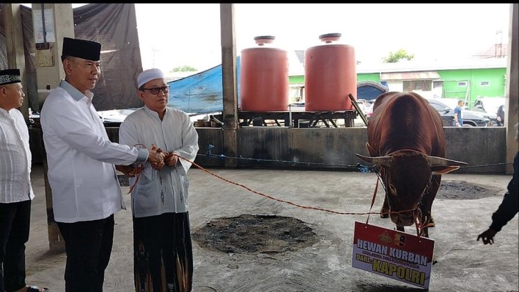 Dua Ekor Sapi Di Serahkan Kapolda Kalsel Kepada Imam Musala Ar Raudah
