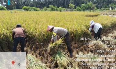 Dukung Asta Cita Presiden Prabowo, Bripka Agus Salim Bantu Petani di Lombok Timur