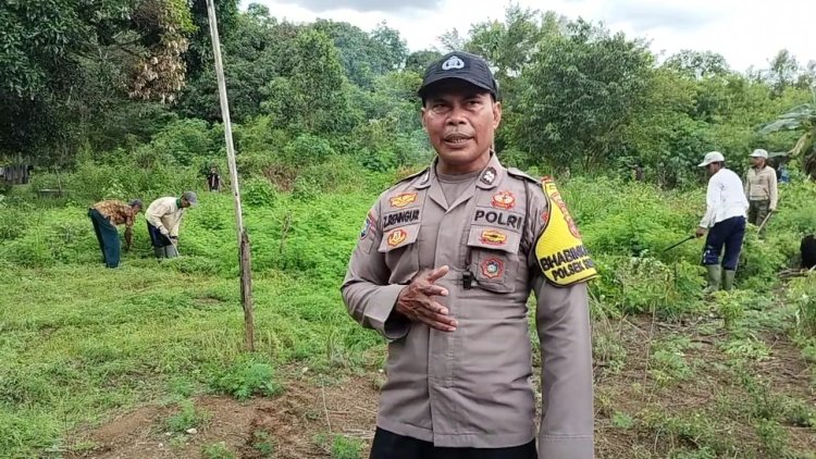 Dukungan Program Asta Cita Aiptu Zainuddin Dorong Warga Desa Binaan Untuk Bertanam Holtikultura