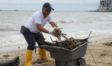 Peringati Hari Lingkungan Hidup Sedunia PLN Gelar Bersih Bersih Pantai