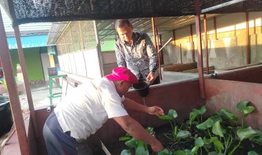 BNNK Banjarbaru Dukung Inovasi Budidaya Belut Warga Landasan Ulin