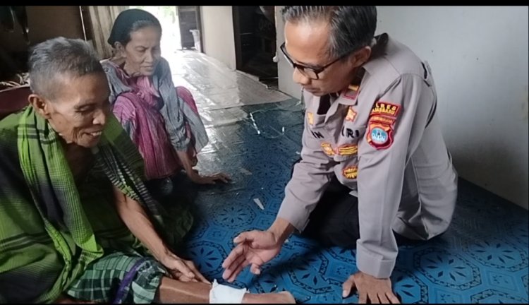 Teror Monyet Liar Resahkan Warga Aluh-Aluh, Sembilan Orang Jadi Korban Serangan