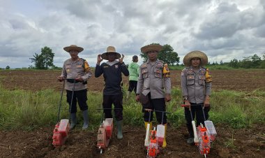 Polsek Banjarbaru Utara Tanam Jagung Pipil Bersama Lintas Sektor Dukung Ketahanan Pangan