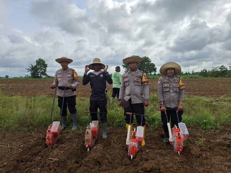 Polsek Banjarbaru Utara Tanam Jagung Pipil Bersama Lintas Sektor Dukung Ketahanan Pangan