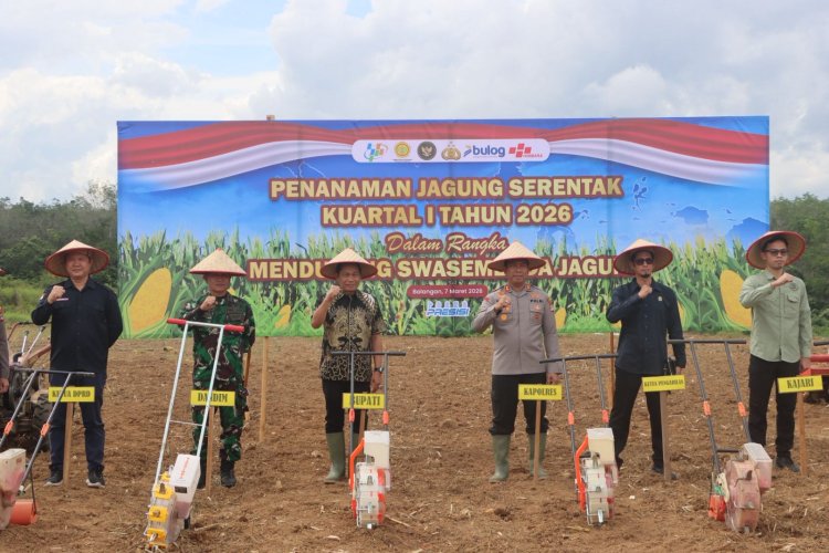 Sinergi Polres dan Pemkab Balangan Dorong Ketahanan Pangan Lewat Penanaman Jagung