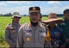 Kapolsek Banjarbaru Utara Dampingi Kelompok Tani, Semprot Jagung Gunakan Drone Lebih Efisien