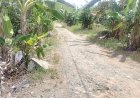 65 Tahun Menanti Jalan Layak, Warga Ray 5 Tabing Rimbah: Pemerintah Seolah Tutup Mata