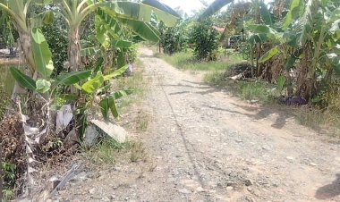 65 Tahun Menanti Jalan Layak, Warga Ray 5 Tabing Rimbah: Pemerintah Seolah Tutup Mata