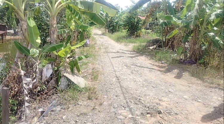 65 Tahun Menanti Jalan Layak, Warga Ray 5 Tabing Rimbah: Pemerintah Seolah Tutup Mata